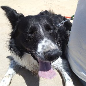 Profile Picture of Deborah Windle (@WindleDeborah) on Twitter