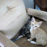 Profile Picture of Ronald Nester (@ronaldnester) on Instagram