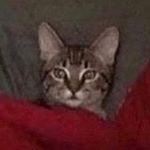 Profile Picture of Grant Dotson (@grant.dotson01) on Instagram