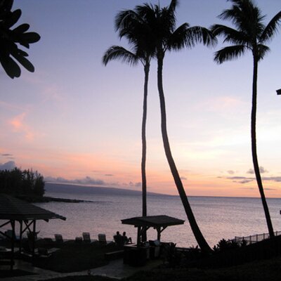 Profile Picture of Paul Jamison (@nosimajp) on Twitter