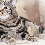 Profile Picture of stephanie whitney (@stephanie4915ssw) on Instagram