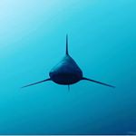 Profile Picture of Benard Makaya (@bclarisandre) on Instagram