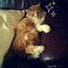 Profile Picture of Audrey Nguyen (@audrey5n) on Pinterest
