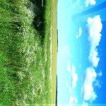 Zetterlund-Clark - Instagram Profile Picture of Zetterlund-Clark (@harwellbhg) on Instagram