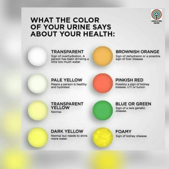 Profile Picture of Annmarie Macajoux (@macajoux1969) on Poshmark