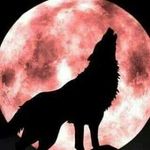 Profile Picture of cynthia  sue sampson nahpi (@cynthia_sue_sampson_nahpi) on Instagram