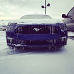Profile Picture of Travis Pierce (@mud.dauber) on Instagram
