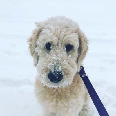 Profile Picture of Andres Ryan (@AndresRyan5) on Twitter