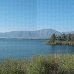 Profile Picture of Diane Page (@dianepage94) on Instagram