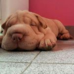 Profile Picture of Isabel Hermida (@isa_cuerva1) on Instagram