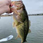 Profile Picture of Garrett Potts (@4o2_fishing) on Instagram