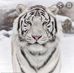 Profile Picture of Eric Samaniego (@eric.samaniego.330) on Facebook