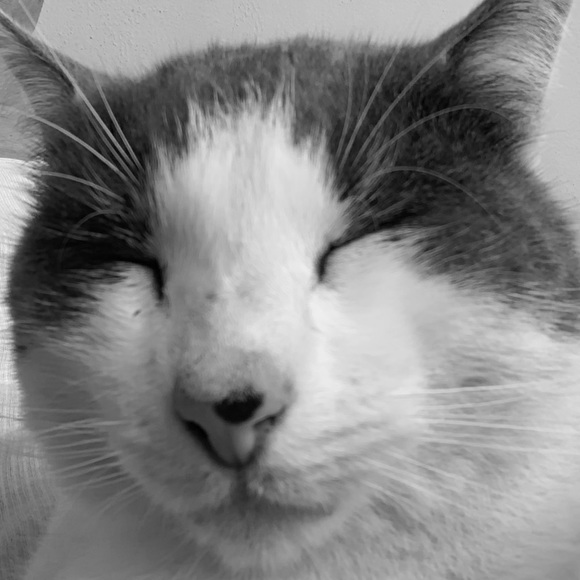 Profile Picture of Michael Hood (@sevenpack77) on Poshmark