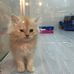 Profile Picture of Adam Field (@adam.field.1420) on Facebook