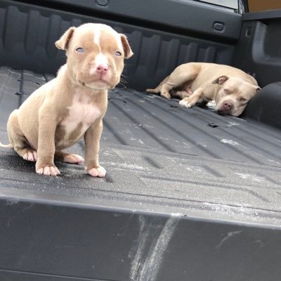 Jorge Gama - Twitter Profile Picture of Jorge Gama (@Jgama305) on Twitter