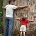 Profile Picture of David Parnham (@davidp9442) on Pinterest