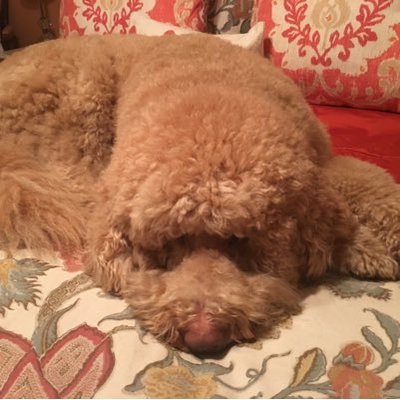 Profile Picture of Joanna Heller (@joanna_heller) on Twitter