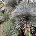 Profile Picture of Berfin Erdogan (@berfinerdogan) on Instagram