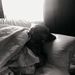 Profile Picture of Andrew Suiter (@andrewsuiter) on Pinterest