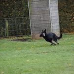 Profile Picture of Bijlesinlelystad (@ingrid.jansen.7927) on Instagram