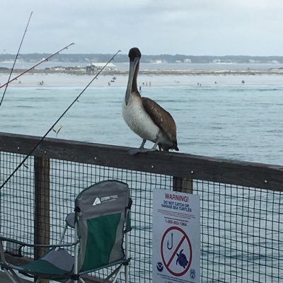 Profile Picture of Robert Gehring (@RobertGehring5) on Twitter
