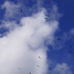 Profile Picture of Requa (@requachaddock3aa) on Instagram