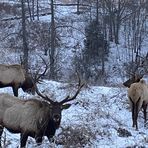 Profile Picture of Fuller Brady (@Fuller-Brady) on Facebook