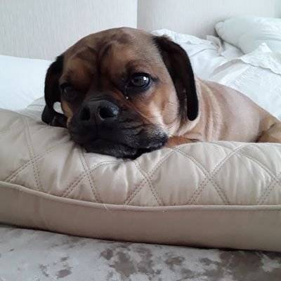 Michele Kehoe - Twitter Profile Picture of Michele Kehoe (@Mimi_Kehoe) on Twitter