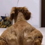 Profile Picture of Joseph Posadas (@Joseph-Posadas) on Facebook