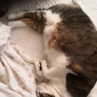 Profile Picture of José Grilo (@jose.grilo.75033) on Facebook