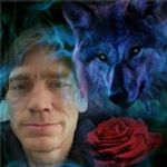 Profile Picture of David Gilmore (@camaroking70) on Instagram