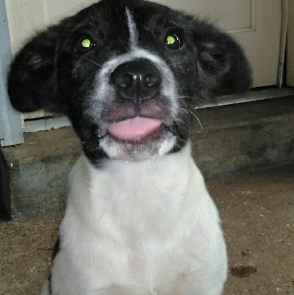 Profile Picture of Randy Swann (@fadeznbraidz) on Poshmark