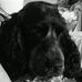 Profile Picture of Basil Russell (@basil.russell.1) on Facebook