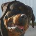 Profile Picture of Scott Funston (@scottfunston16) on Pinterest