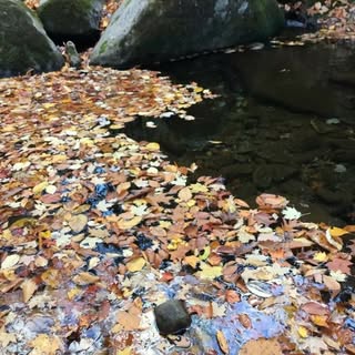 Profile Picture of Scott Elkins (@scott_elkins) on Instagram