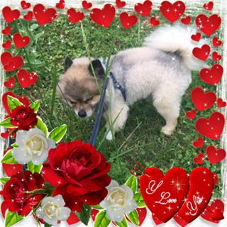 Profile Picture of Shirley Robinson (@Shirley-Robinson) on Facebook