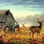 Profile Picture of David Skalsky (@davidskalsky) on Instagram