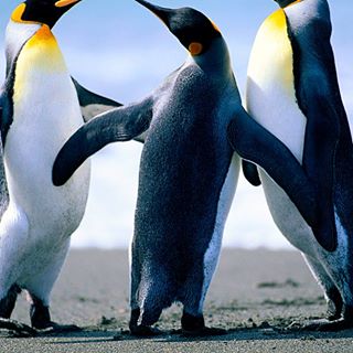 Profile Picture of Mike Callora (@mike.callora.7) on Facebook