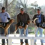 Profile Picture of Patrick Pettit (@patrick.pettit_buckin_bull_knl) on Instagram