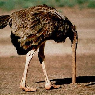 Profile Picture of Hugo Gaspar (@hugo.gaspar.169) on Facebook