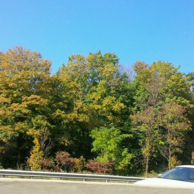 Profile Picture of Carolina  Menendez. (@carolina3201) on Twitter