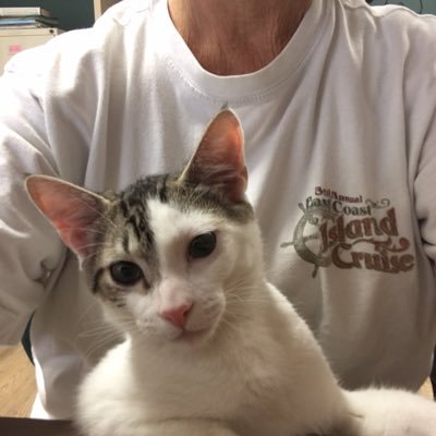 Profile Picture of Janet Bishop (@Janetabish) on Twitter