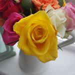Profile Picture of Michelle Ireland (@theupcycledesignmama) on Instagram