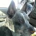 Profile Picture of Elouise Bacon (@elouise.bacon.3) on Facebook