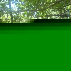 Profile Picture of Grzegorz Warzecha (@142604779) on Myspace