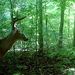 Profile Picture of James Rutley (@jamesrutley61) on Pinterest