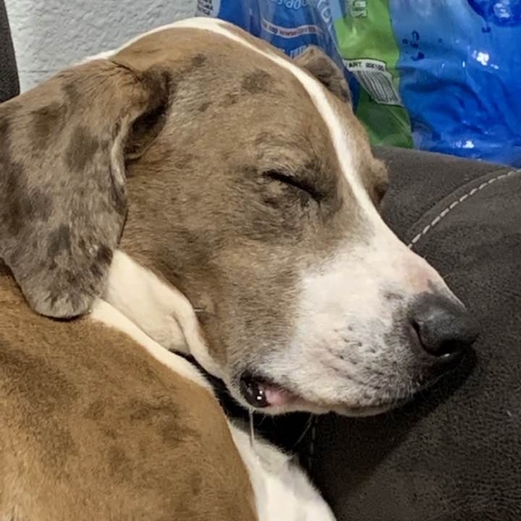 Profile Picture of Cindy Ladd (@eventide7) on Poshmark