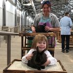 Profile Picture of Mandy Peterson (@satin72478) on Instagram