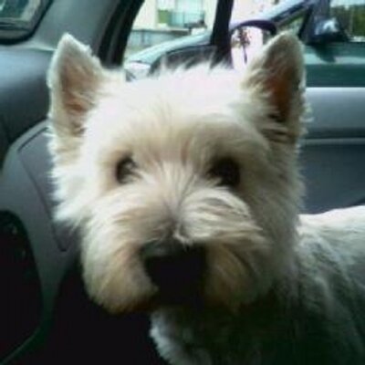 Jantzen Paul - Twitter Profile Picture of Jantzen Paul (@paul_jantzen) on Twitter