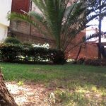 Profile Picture of Evan Small (@small7786) on Instagram